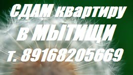 Сдается в аренду 2 ком. г.  Мытищи ул. Терешковой